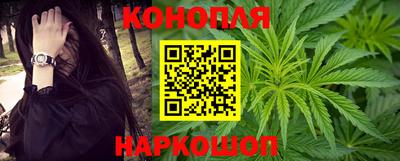 СК Новодвинск